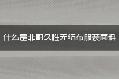 什么是非耐久性无纺布服装面料.jpg
